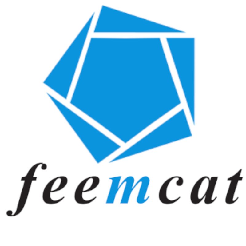 LOGO_FEEMCAT.jpg