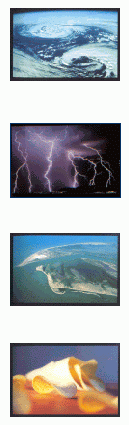 03_colec-fotos.gif