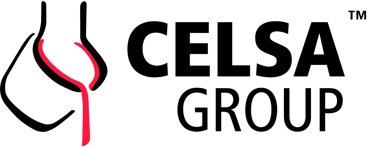 LogoCelsaGroup_02.jpg