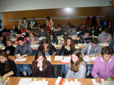 20100415_tast_4.jpg