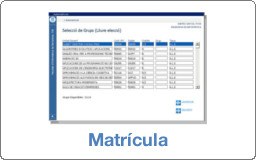 Matrícula FME 2020-2021 (Q1)