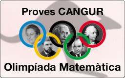 Inscripcions obertes per a participar en les sessions de preparació de les Proves Cangur i de l'Olimpíada Matemàtica curs 2016-2017