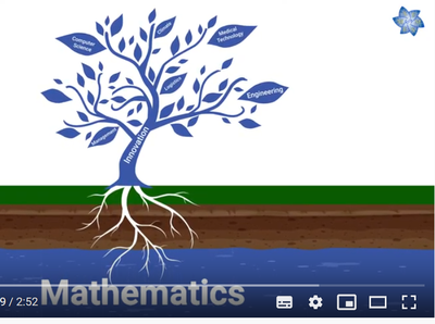 The Era of Mathematics, vídeo de l'European Mathematical Society