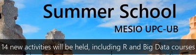 Tret de sortida per a participar a la XII Summer School MESIO UPC-UB 2018