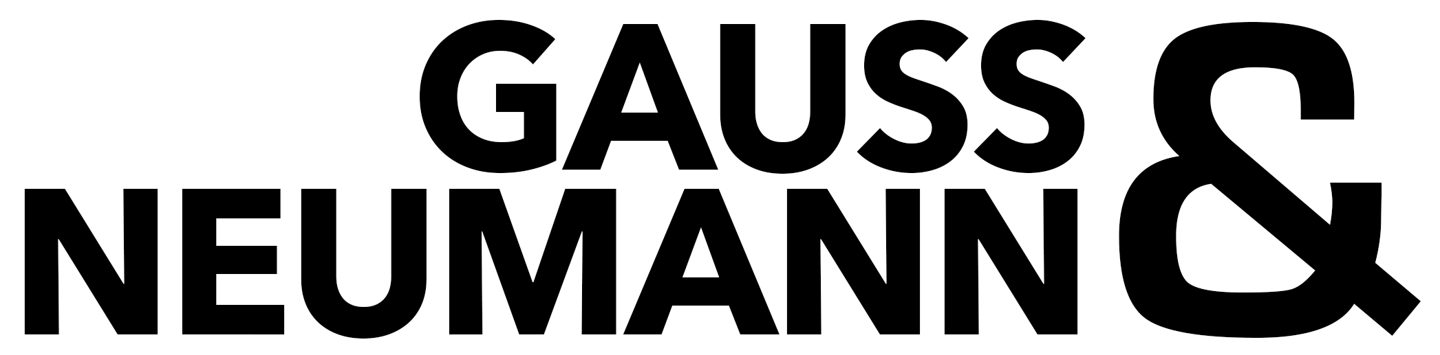 Logo Gauss & Neumann 2